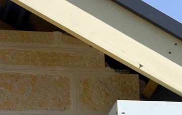soffit repair Broadlay